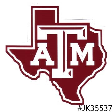 CAR MAGNETS VARIOUS SIZES HOME STATE CITY TEAM OFFICIAL LICENSED PRODUCT